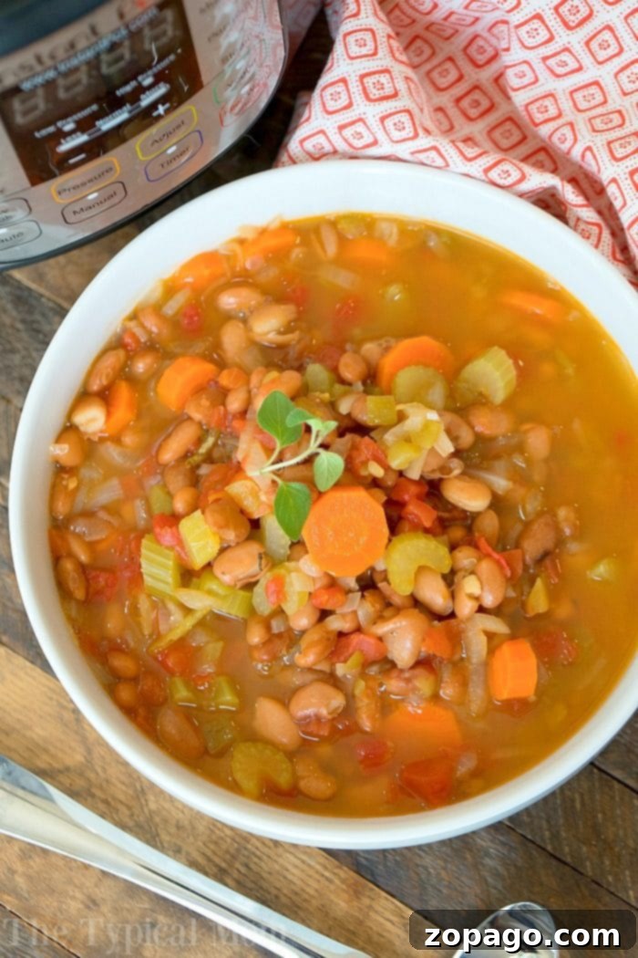 Instant Pot pinto bean soup recipe that is packed with flavor and can be a vegetarian soup too! Load it up with vegetables and there's no soaking required to start from scratch. #instantpot #pressurecooker #pintobean #soup #pinto #vegetarian #instantpotrecipes #thetypicalmom Instant Pot Pinto Bean Soup 3, ready to serve with a garnish of chopped green onions.