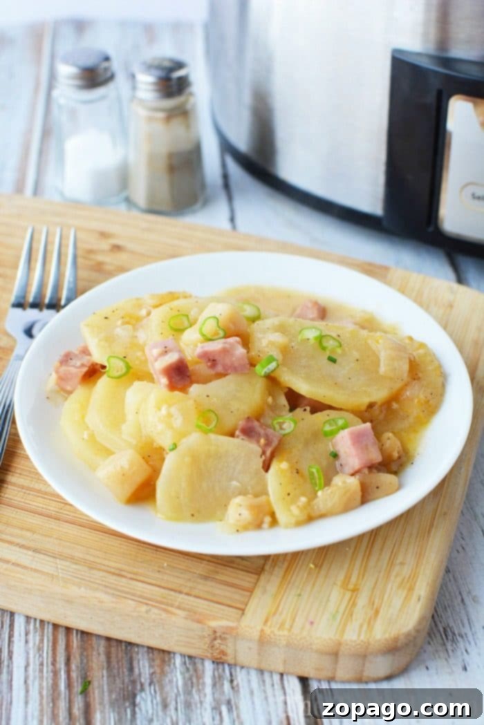 Slow Cooker Scalloped Potatoes with Ham: Cheesy, Creamy, and Perfect for Holidays Rich and creamy slow cooker scalloped potatoes with ham, garnished with fresh herbs, perfect for holiday gatherings or a comforting family meal.