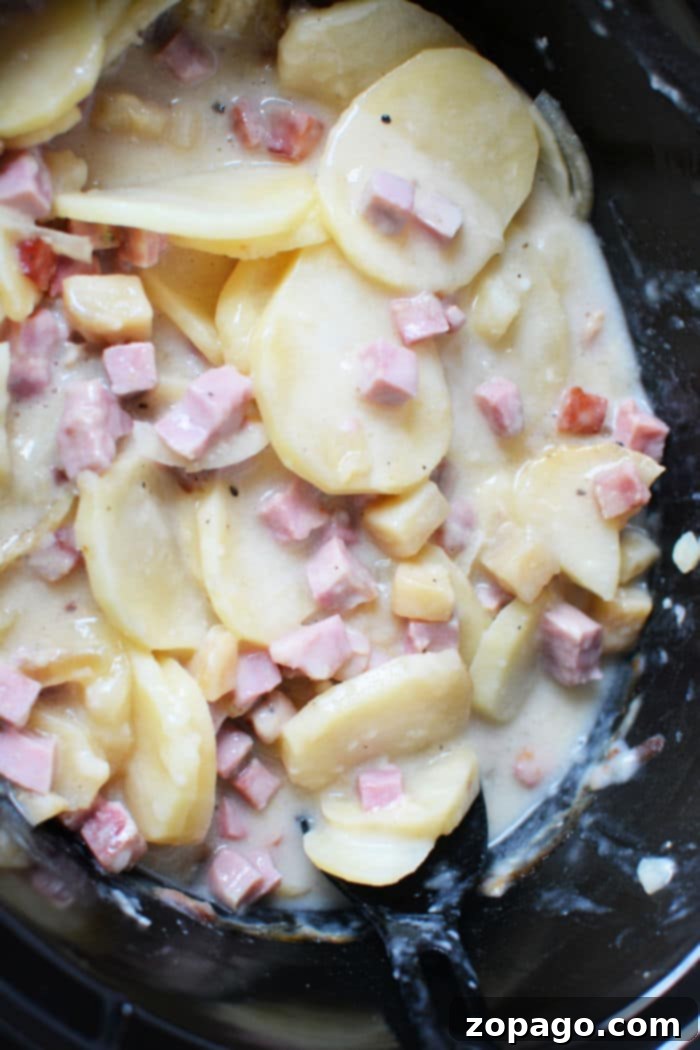 Easy Slow Cooker Ham and Potatoes Comfort Food Hearty slow cooker ham and potatoes, a comforting and easy meal for any occasion.