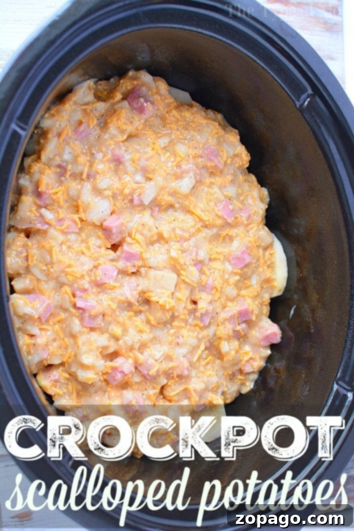 Golden Slow Cooker Scalloped Potatoes A generous serving of creamy, golden-brown slow cooker scalloped potatoes in a bowl, steam rising, ready to be enjoyed.