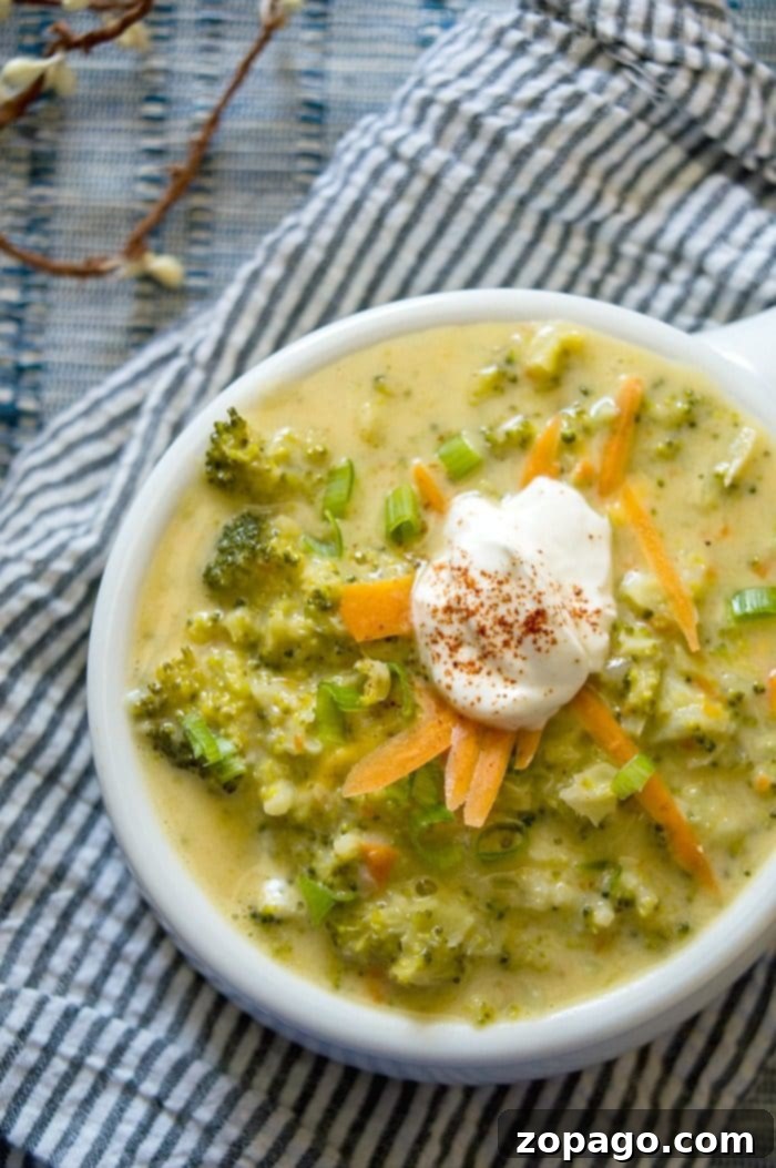 Enjoy a comforting bowl of quick broccoli cheese soup, one of many delicious Dutch oven recipes perfect for cold days at home or camping. Your cast iron pot maintains even heat for perfect results. #dutchoven #recipes #soup #comfortfood #castiron Warm and comforting quick broccoli cheese soup