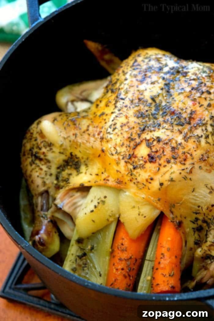 Explore over 30 delicious Dutch oven recipes for every meal, whether at home or while camping. From hearty dinners to freshly baked bread and tempting desserts, your cast iron Dutch oven makes cooking simple and satisfying. #dutchoven #recipes #dinners #beef #chicken #soup #stew #dessert #potatoes #castiron Delicious cast iron Dutch oven recipes cooking