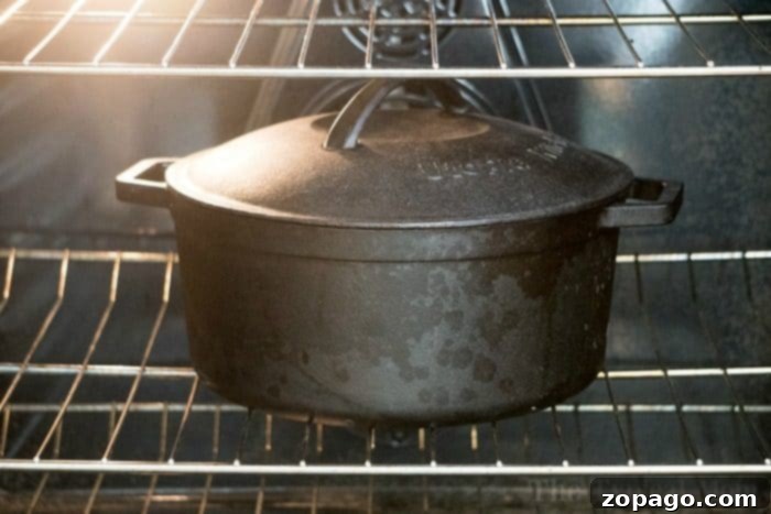 Discover an array of simple and delicious Dutch oven recipes ideal for home chefs and campers alike. From robust dinners to freshly baked bread and delightful desserts, your cast iron Dutch oven is your go-to for versatile cooking. #dutchoven #recipes #dinners #beef #chicken #soup #stew #dessert #potatoes #castiron Diverse collection of Dutch oven recipes