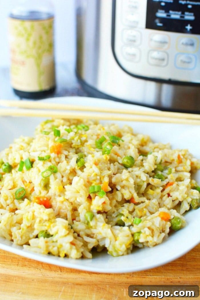 Pressure Cooker Fried Rice with Egg: Quick & Easy Instant Pot / Ninja Foodi Recipe A vibrant plate of pressure cooker fried rice, garnished with green onions and a perfectly cooked egg, ready to be enjoyed as a quick and flavorful Instant Pot or Ninja Foodi meal.