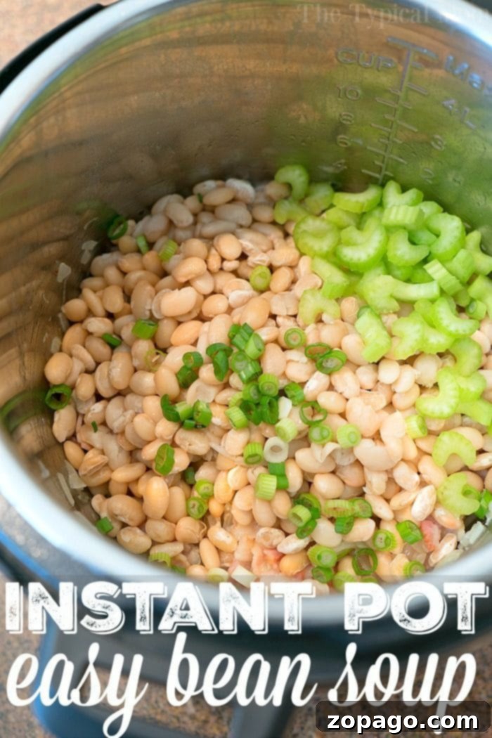 Pressure cooker bean soup that is healthy and homemade. The perfect Instant Pot soup during the winter and year round really. #pressurecooker #instantpot #crockpotexpress #bean #soup #northernbeans #healthy #instantpotrecipes #thetypicalmom #beansoup A rustic bowl of pressure cooker bean soup, featuring tender white beans, vibrant celery, and a garnish of fresh green onions, promises a delicious and hearty dining experience.