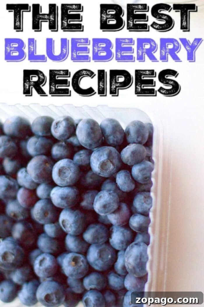 Best blueberry recipes around! From savory to sweet treats for breakfast or dessert you'll love them all. My favorite fruit. #blueberry #best #savory #desserts #breakfast #brunch #frozen #fresh A vibrant assortment of blueberry recipes including muffins, pancakes, and fruit tarts, highlighting the versatility of blueberries in sweet and savory dishes.