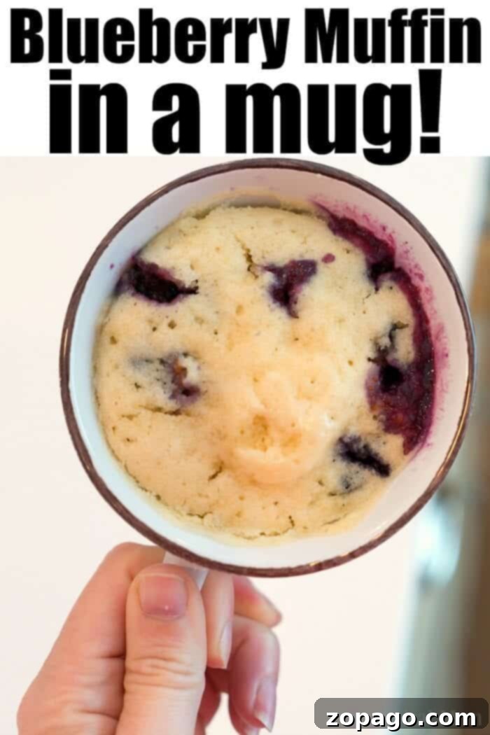 Blueberry Delights 2 A fluffy blueberry muffin baked in a mug, garnished with fresh blueberries, showcasing a quick and easy breakfast recipe.