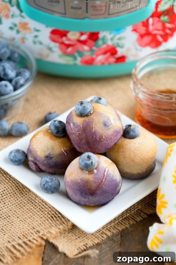 Best blueberry recipes around! From savory to sweet treats for breakfast or dessert you'll love them all. My favorite fruit. #blueberry #best #savory #desserts #breakfast #brunch #frozen #fresh Blueberry pancake bites on a square white plate, garnished with fresh blueberries and drizzled with syrup, resemble delightful Instant Pot pancake bites that elevate any breakfast spread.