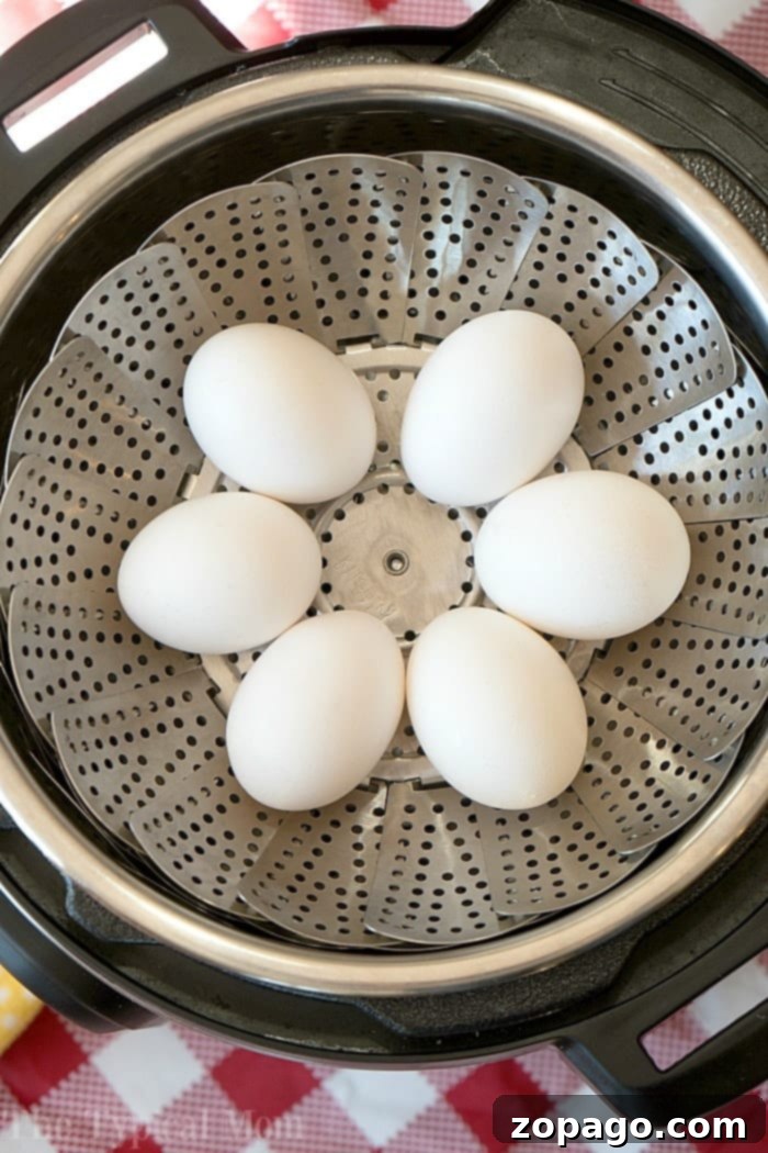 Perfect Instant Pot Hard-Boiled Eggs 3 Six white eggs rest on a metal steamer basket inside an Instant Pot