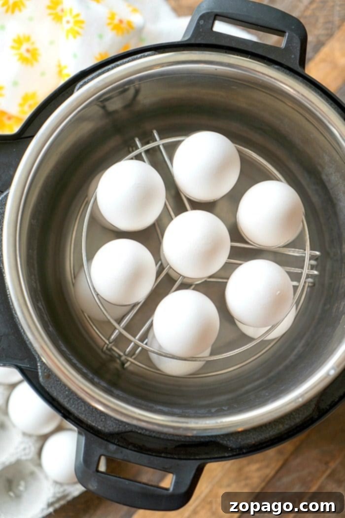 Perfect Instant Pot Hard-Boiled Eggs 5 White eggs neatly arranged on a metal rack inside an Instant Pot