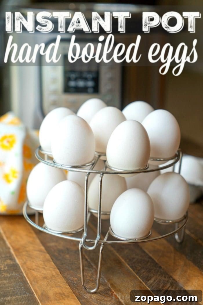 Perfect Instant Pot Hard-Boiled Eggs 6 Eggs rest on a metal rack, ready to become instant pot hard boiled eggs in no time