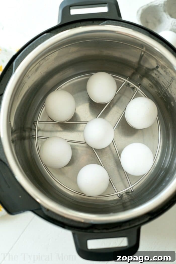 Perfect Instant Pot Hard-Boiled Eggs 8 Top-down view of six white eggs on a trivet inside an electric pressure cooker