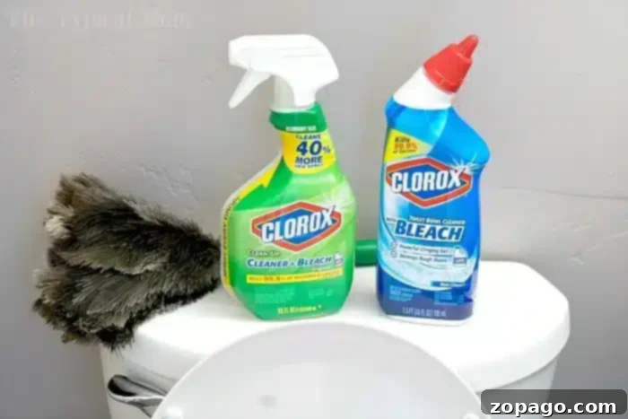 Move In Move Out Cleaning Guide 2 Apartment Move Out Cleaning Checklist Printable