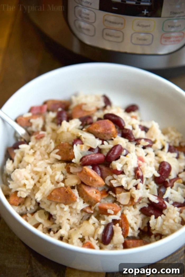 Instant Pot Red Beans and Rice: A Pantry Staple Casserole A bowl of savory Instant Pot rice and beans, garnished with fresh cilantro, a hearty and budget-friendly meal.