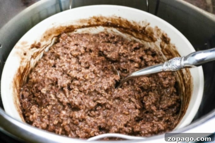 Chocolate Pressure Cooker Oatmeal: A sweet breakfast or dessert everyone will love. Top with chocolate chips and strawberries for ultimate yum. Close-up of creamy chocolate pressure cooker oatmeal, ready to be served for a delightful breakfast or a comforting dessert.