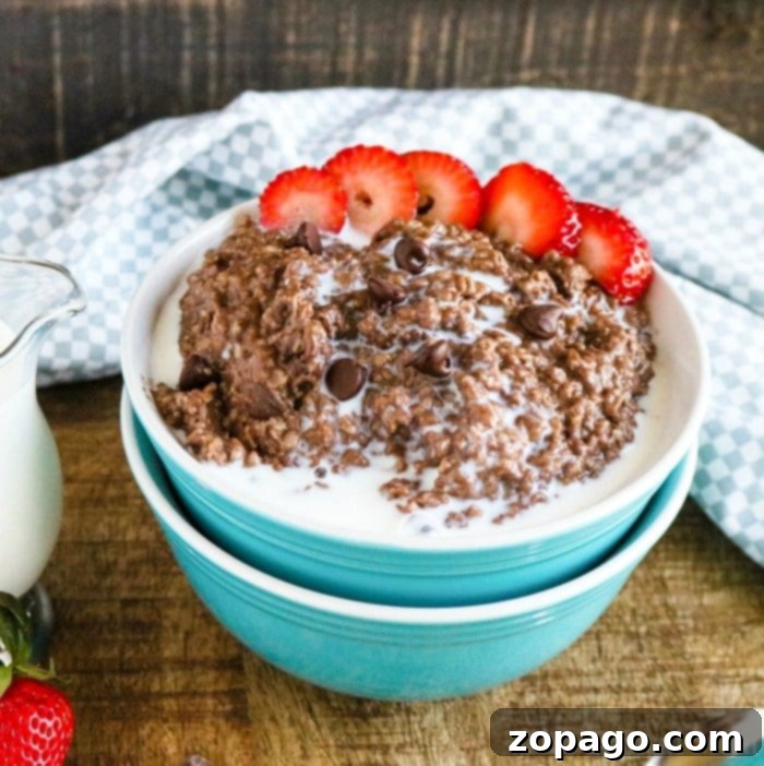 Decadent Chocolate Oats 4 Close-up of chocolate Instant Pot oatmeal with melted chocolate chips and fresh berries.