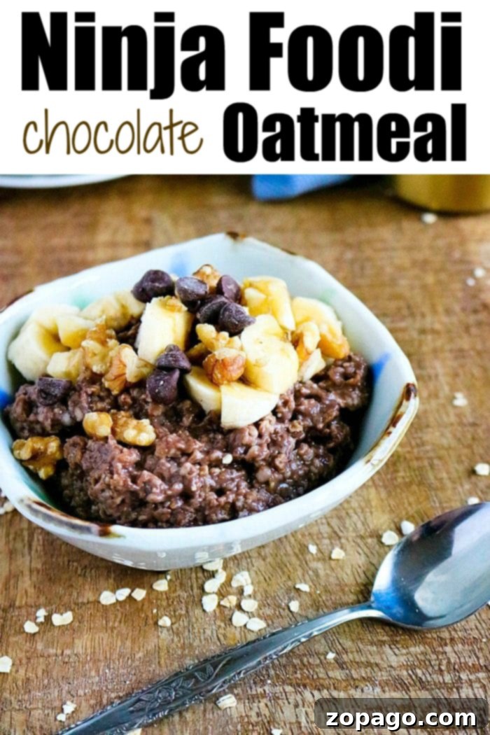 Decadent Chocolate Oats 6 Ninja Foodi chocolate oatmeal garnished with fresh berries.