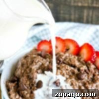 ninja foodi chocolate oatmeal