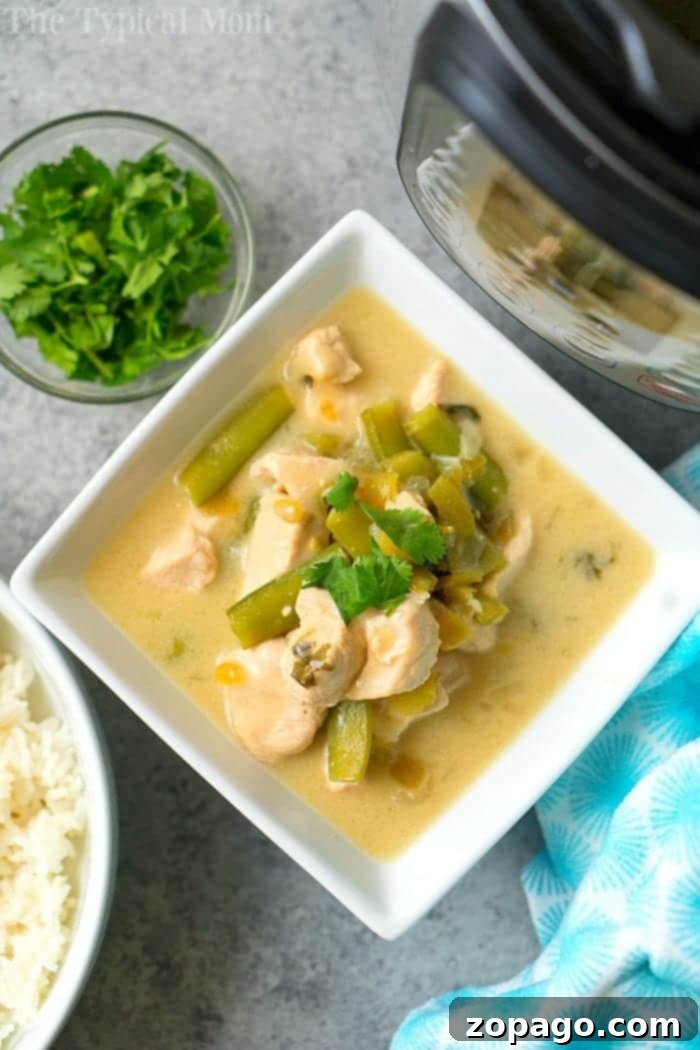 Pressure cooker coconut chicken with curry turned out amazing! A creamy Instant Pot chicken with vegetable dish served as a soup or on top of rice. Try our Thai style coconut chicken yourself and let us know what you think! Creamy coconut chicken with a side of rice and fresh herbs nearby, all crafted effortlessly in the pressure cooker.
