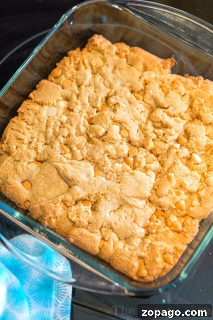 You have got to try these cake mix peanut butter cookie brownies! Rich peanut butter flavor with white chocolate chips that are an ooey gooey dessert everyone in the house will love. They're so easy because you use yellow cake mix as the base and amp it up with nuts and peanut butter. The best quick treat ever. #cakemix #brownies #peanutbutter #easy Baked dessert with a golden crust, featuring white chips and a hint of peanut butter cookie richness, in a square glass dish on a blue-patterned surface.