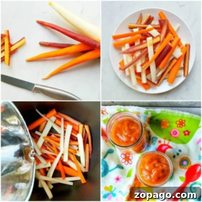 Learn how to make homemade baby food with an Instant Pot for easy, wholesome meals. #howtomake #babyfood #pressurecooker #instantpot #carrots #vegetables Essential tools for making homemade baby food, including a pressure cooker and blender.