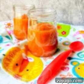 Two jars of delicious orange baby food rest on a colorful towel with a red spoon, freshly crafted using an Instant Pot for optimal flavor and nutrition.