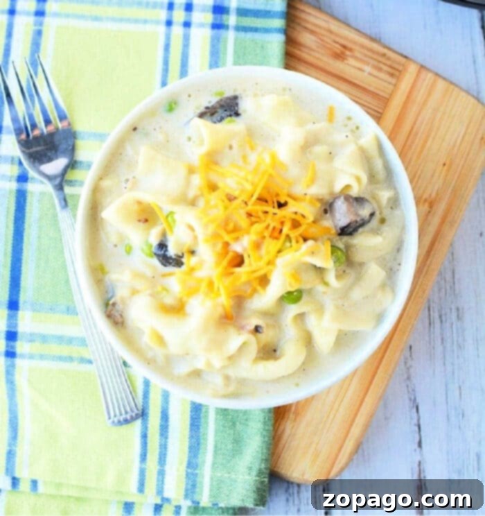 Speedy Pressure Cooker Tuna Noodle Casserole 2 Instant Pot Tuna Noodle Casserole with Chunk Tuna, Noodles, Veggies, Sauce, and Cheese