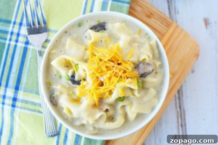 Speedy Pressure Cooker Tuna Noodle Casserole 4 Pressure Cooker Tuna Noodle Casserole with a spoon, highlighting the creamy noodles and visible tuna and peas.