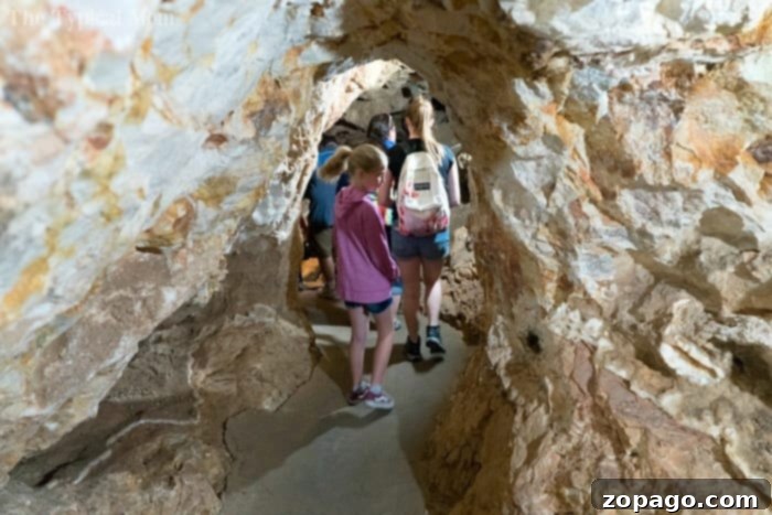 Family-friendly road trip ideas and travel tips for teens and parents. Family enjoying a scenic road trip near Mt. Rushmore, symbolizing travel activities for teens