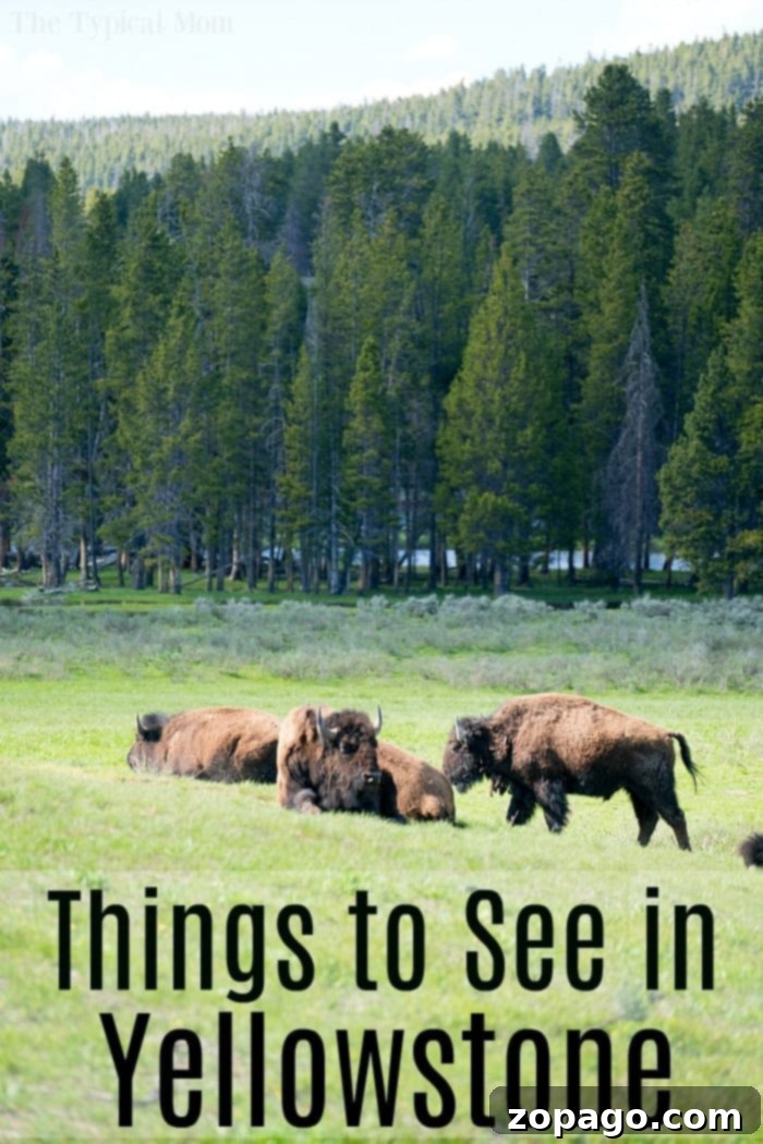 Planning a Family Trip to Yellowstone: Must-See Sights & Kid-Friendly Tips #yellowstone #familytravel #travel #roadtrips #thetypicalmom #southdakota Family planning a trip to Yellowstone National Park, enjoying the natural wonders
