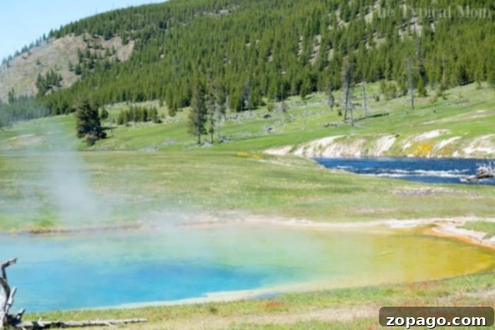 Things to do in Yellowstone: Yellowstone River Scenic view of the Yellowstone River flowing through a valley with mountains in the background, a beautiful attraction.