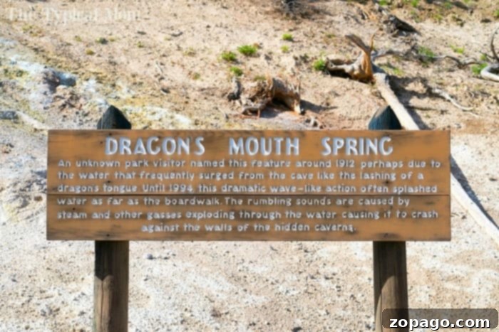 Dragons Mouth Spring in Yellowstone Steam billows from the cave-like opening of Dragons Mouth Spring, with bubbling water visible inside.