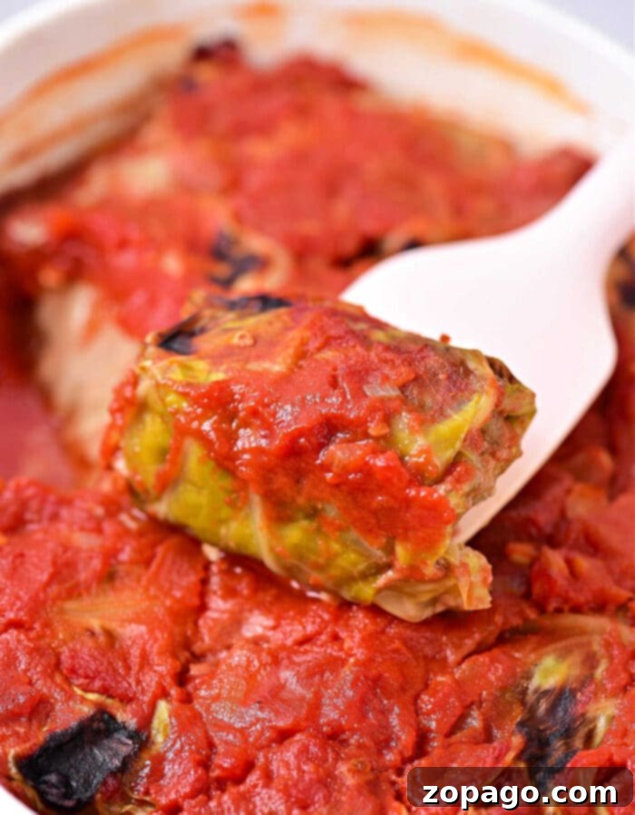 Quick Instant Pot Stuffed Cabbage 2 Easy Instant Pot Stuffed Cabbage