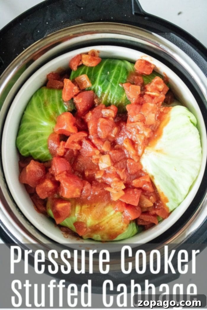 This Instant Pot stuffed cabbage is a great dinner filled with ground beef, rice, cheese and tons of flavor. Just a few minutes in your pressure cooker! #instantpot #instantpotrecipes #stuffedcabbage #cabbage pressure cooker stuffed cabbage