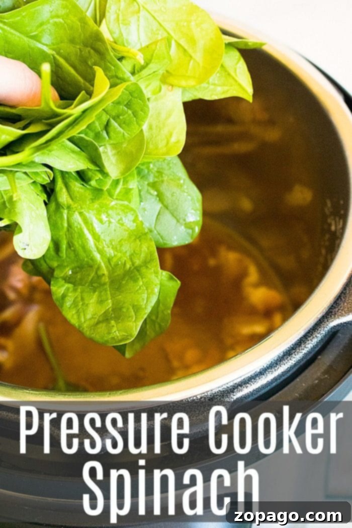 Instant Pot spinach is a great side dish recipe to make for your family. Add bacon and it's great. #instantpot #instantpotrecipes #spinach #vegetable #sidedish #healthy #thetypicalmom Steaming Instant Pot spinach with crispy bacon in a white bowl, ready to be served as a healthy and flavorful side dish.