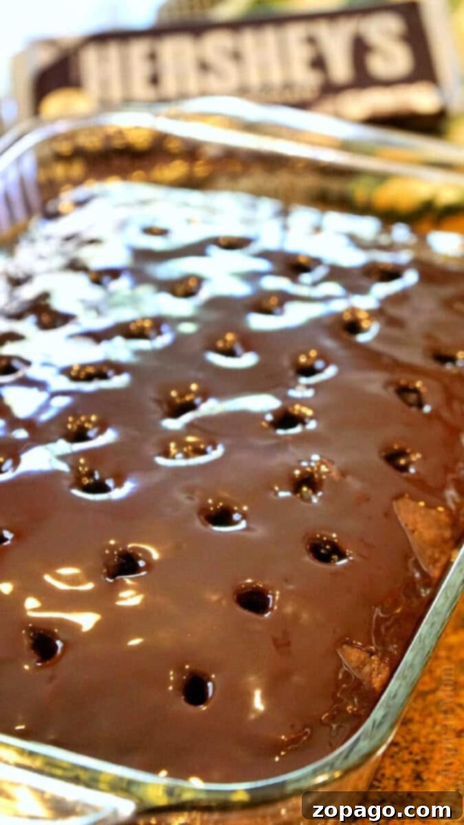 A beautifully decorated ganache poke cake, showing a slice with the rich chocolate filling seeping into the cake, perfect for those learning how to make a poke cake.