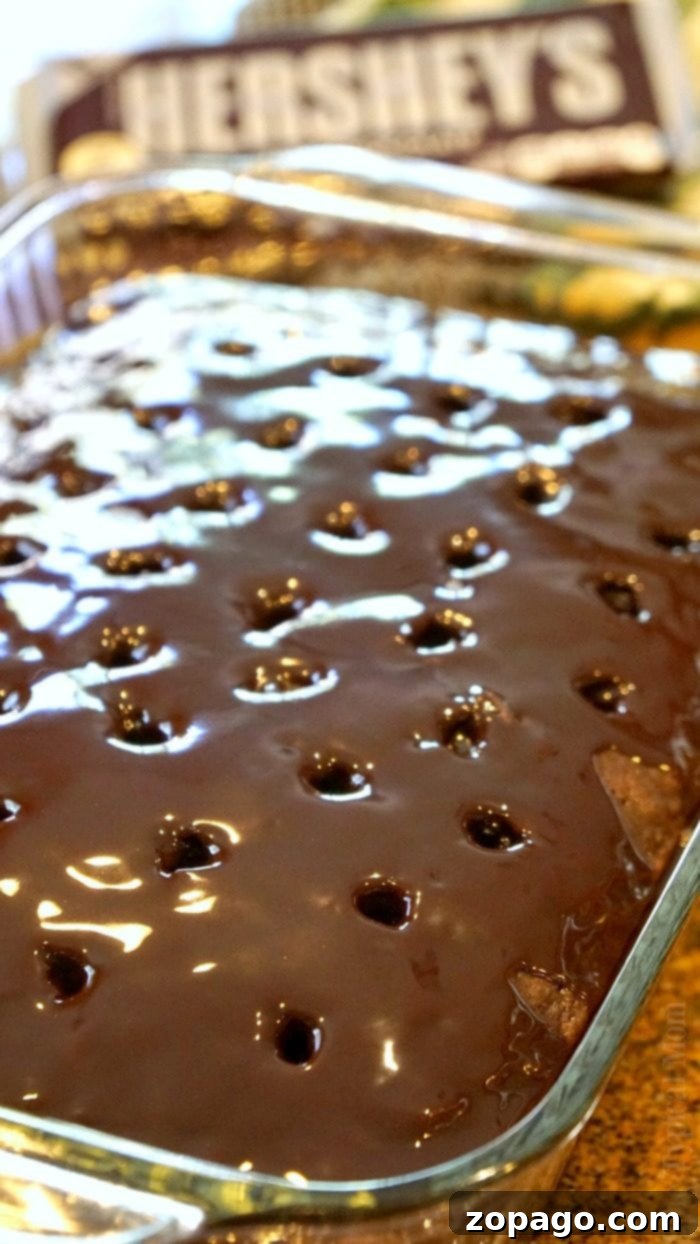 A delicious S'mores poke cake topped with toasted marshmallows and chocolate drizzle, a popular variation of how to make a poke cake.