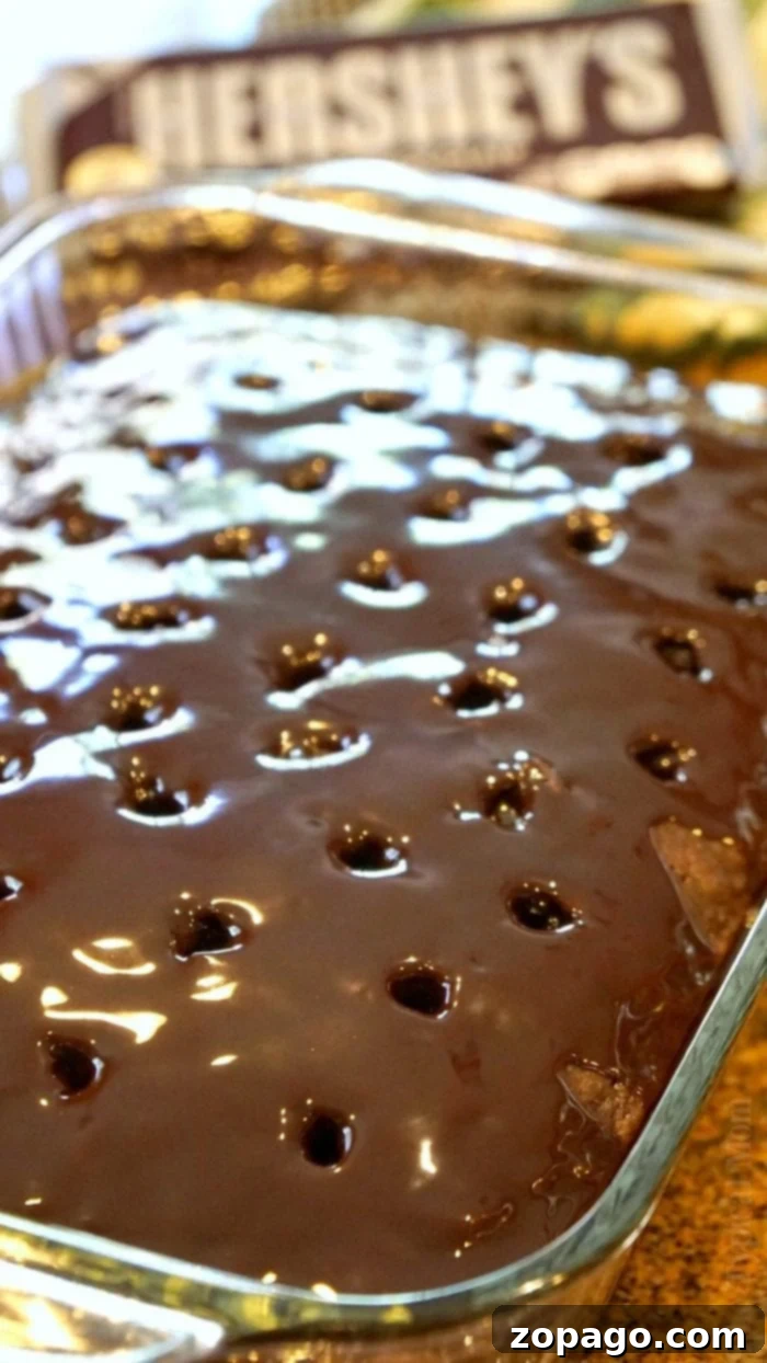 Mastering Moist and Flavorful Poke Cakes 4 A delicious S'mores poke cake, topped with toasted marshmallows, chocolate drizzle, and graham cracker crumbs, served in a square pan.
