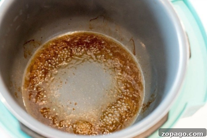 Troubleshooting Instant Pot Burn Warnings 3 How to deglaze an Instant Pot