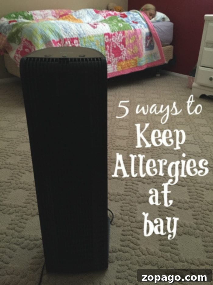 Creating an allergen-free home with effective air purification strategies. A clean, minimalist interior symbolizing a home free from allergens and pollutants.