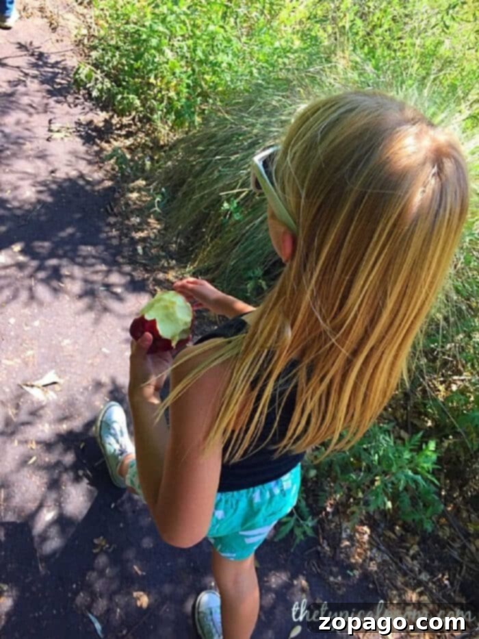 Free nature scavenger hunt printable for outdoor fun