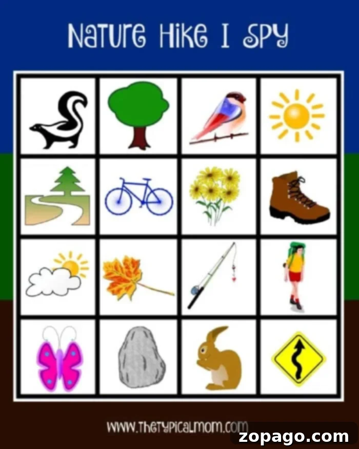 Nature-Hike-I-Spy