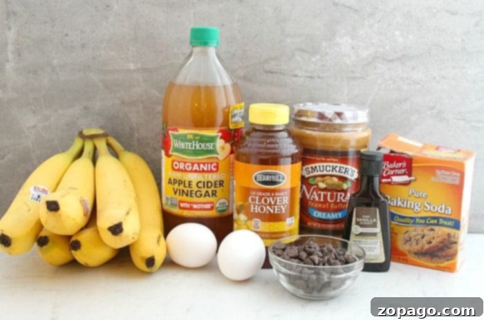 Easy and delicious flourless peanut butter banana blender muffins with chocolate chips, perfect for breakfast or a healthy snack. Warm peanut butter banana blender muffins with chocolate chips cooling on a wire rack.