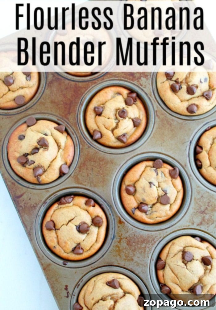Flourless peanut butter banana muffins are a quick and healthy breakfast or snack option. Stack of homemade flourless banana muffins with visible chocolate chips, ready to eat.