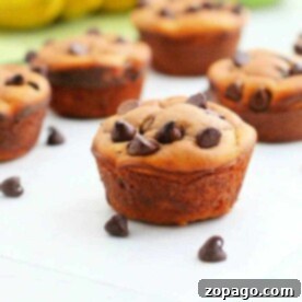 Peanut butter chocolate chip muffins on a white surface with scattered chocolate chips, these delightful treats are crafted without any flour, combining a rich blend of flavors for a delicious experience.