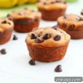 Peanut butter chocolate chip muffins on a white surface with scattered chocolate chips, these delightful treats are crafted without any flour, combining a rich blend of flavors for a delicious experience.