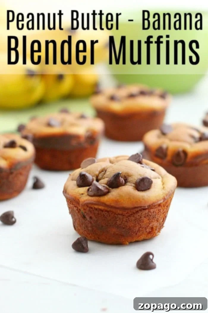 Enjoy the simplicity and deliciousness of these flourless peanut butter banana muffins. A basket of delicious flourless peanut butter banana blender muffins, perfect for a healthy breakfast.