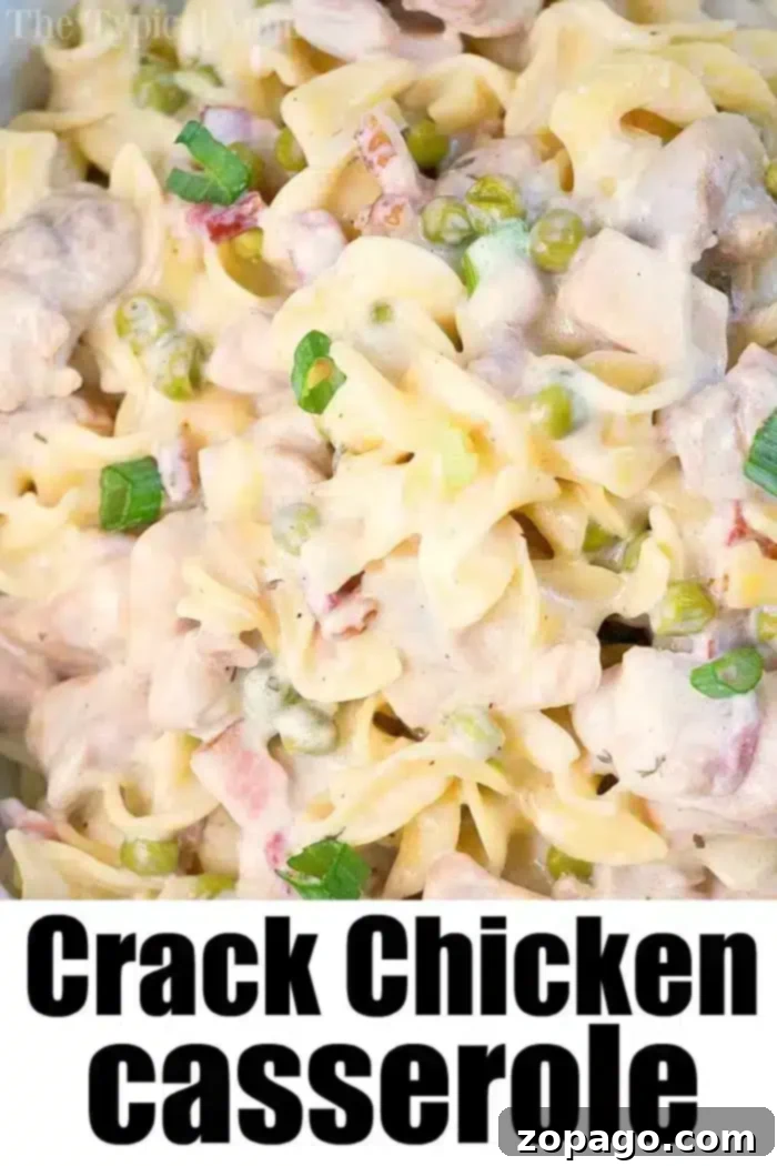 Instant Pot crack chicken casserole is one of the most amazing pressure cooker dinner recipes I have made thus far! Get ready for creamy goodness with pasta. #instantpot #instantpotrecipes #chicken #casserole #easy #thetypicalmom #crackchicken Ninja Foodi Crack Chicken Pasta, a creamy and savory pressure cooker dish with chicken, bacon, and pasta.