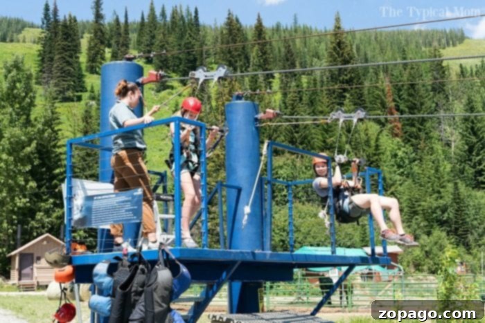 Discover summer adventures at Schweitzer Mountain Resort near Sandpoint, Idaho. Scenic view of Schweitzer Mountain in summer with green slopes