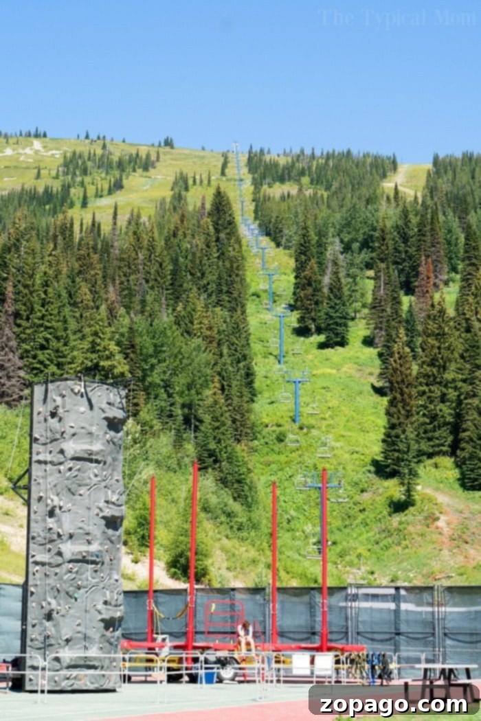 Kids having fun zip-lining at Schweitzer Resort during summer. Kids enjoying the zip line at Schweitzer Resort with mountain views